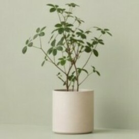 Как оформить покупку ИКЕА через интернет