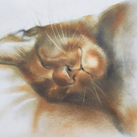 Сладкий сон