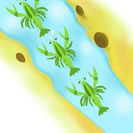 Раки ползут