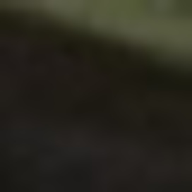 Лето в гости 