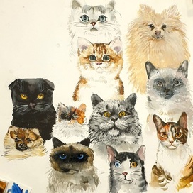 Коты (иллюстрация к книге)