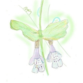 Цветы под дождём