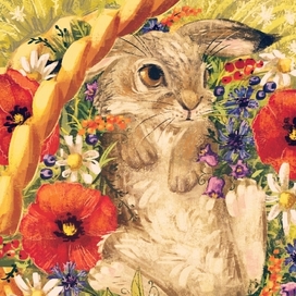 Летний зайчонок