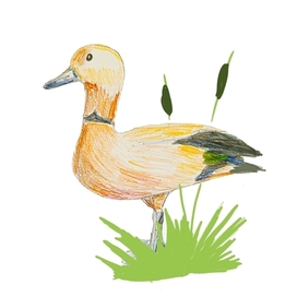 Птица алая на пруду... 