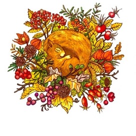 Спящая белочка