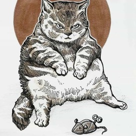 Cat