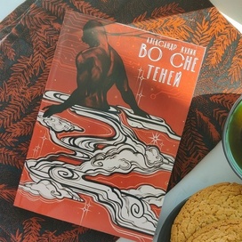 Обложка к книге "ВО СНЕ ТЕНЕЙ"