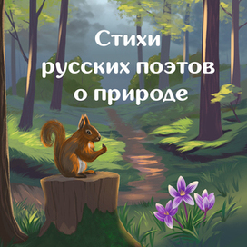 Проект книжной обложки к сборнику стихотворений