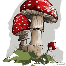 Мухоморы