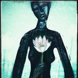 Lotus Eaters