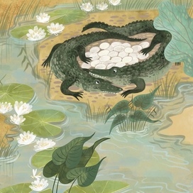 Книга «Кто в яйце» Нон фикшн