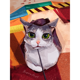 котик на ковре