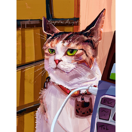 котик хочет укусить провод 