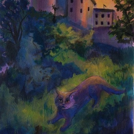 Fairy cat
