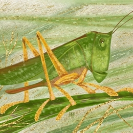 Кузнечик
