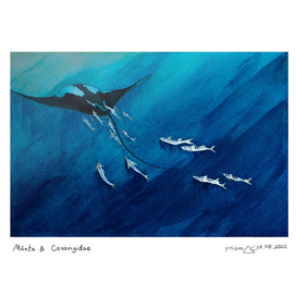 Mānta & Carangidae