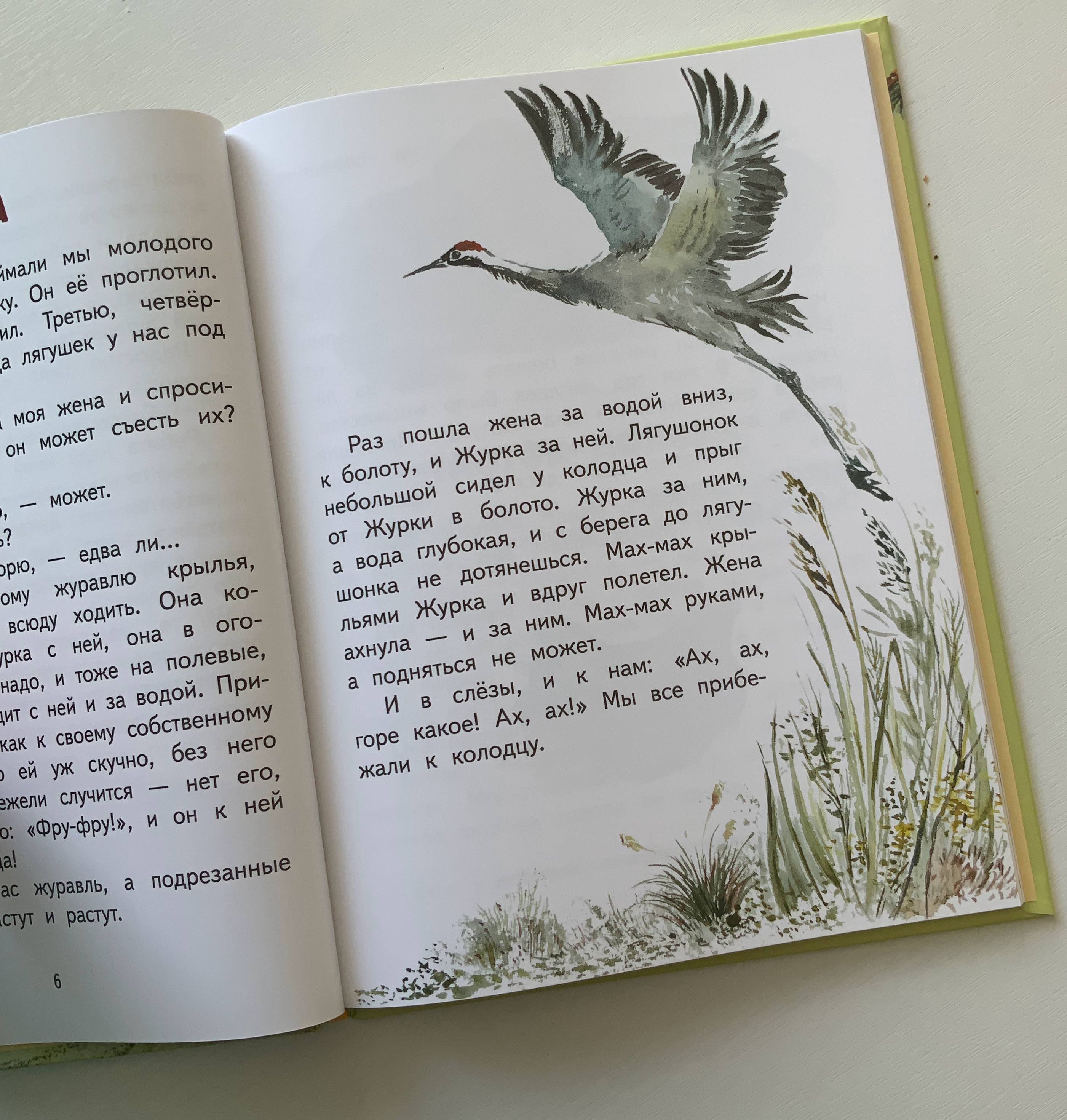 Иллюстрация к рассказу "Журка" М.Пришвина