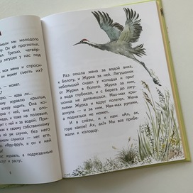Иллюстрация к рассказу "Журка" М.Пришвина