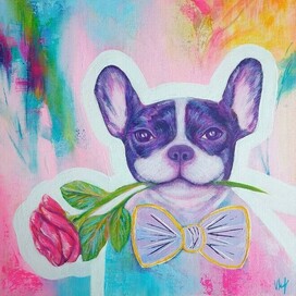 Mr. Dog