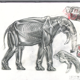 Dinotherium 