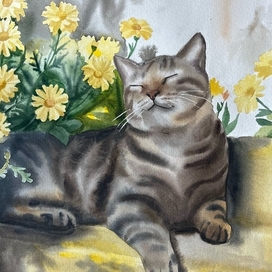 котик