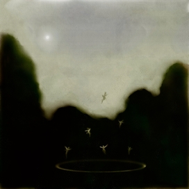Fairy circle 