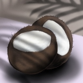 Coconut
