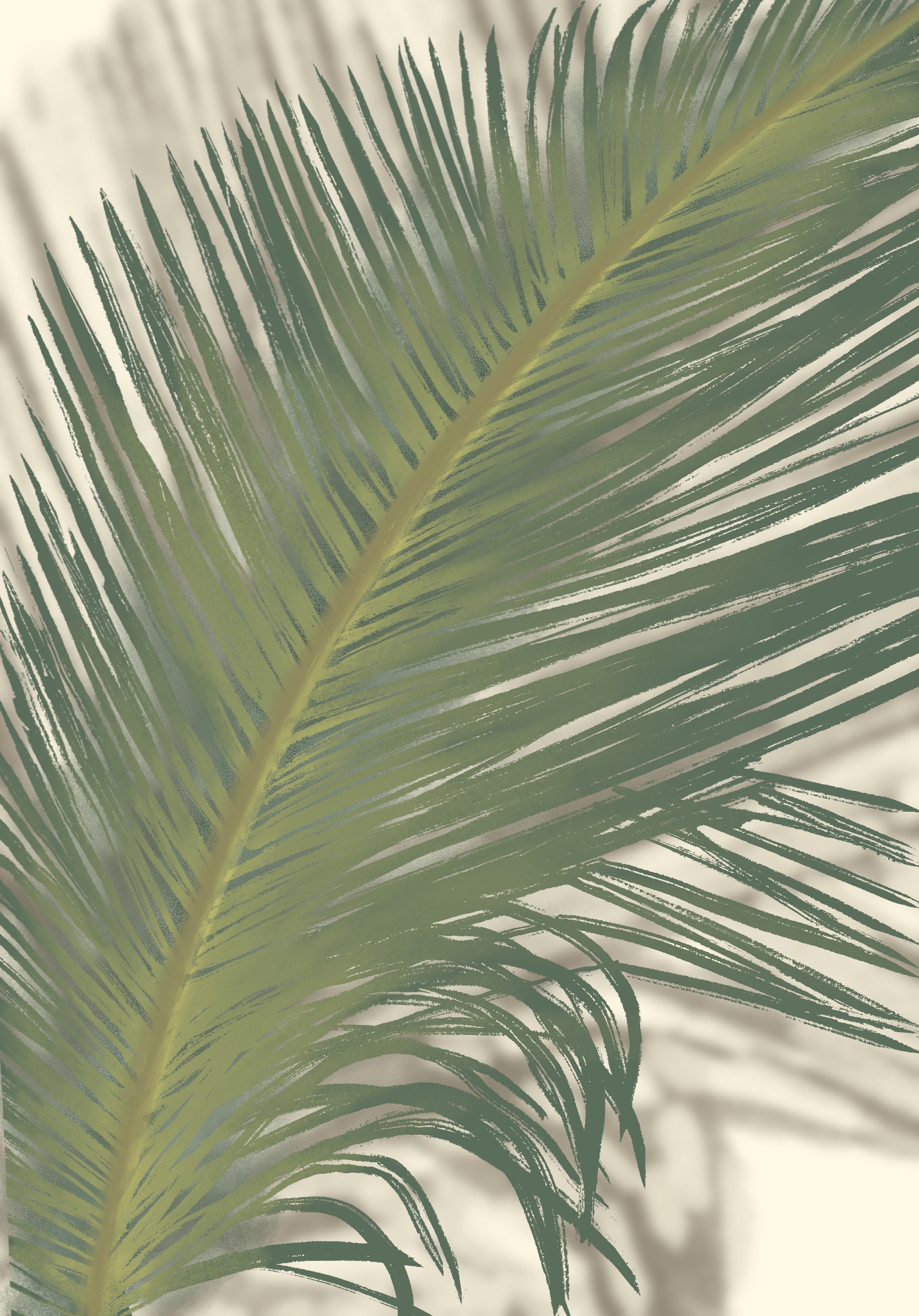 Palm Leaf