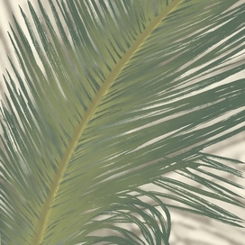 Palm Leaf