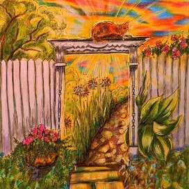 Кошкосолнце июня