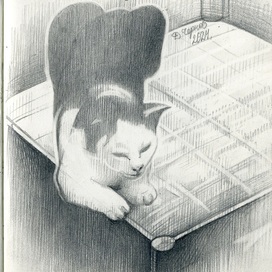 Мурка