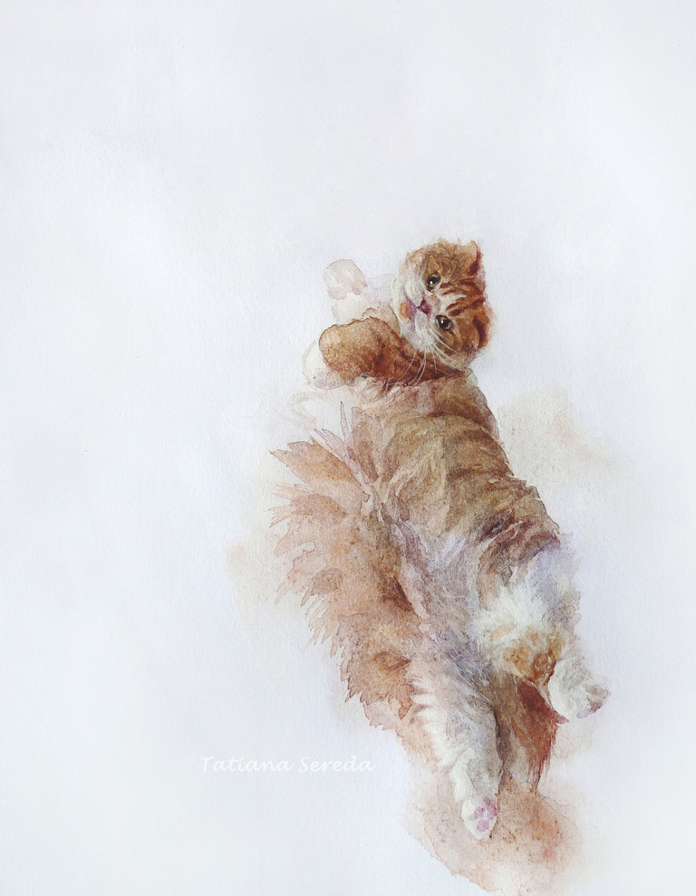 Летящий кот