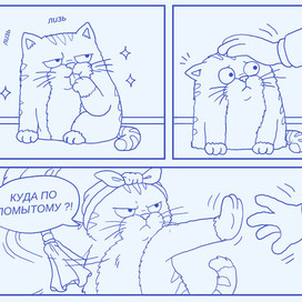 Кошатники поймут)