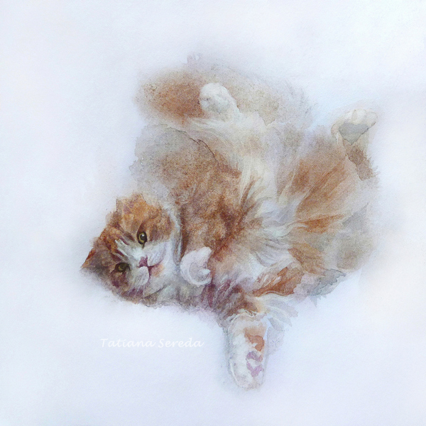Летающий кот
