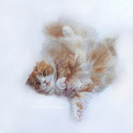 Летающий кот