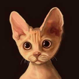 Портрет кота