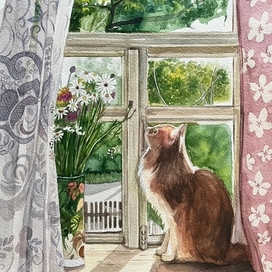 котик