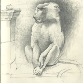 Павиан