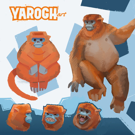 Golden Snub-nosed Monkey character research