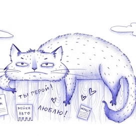 Будни кота