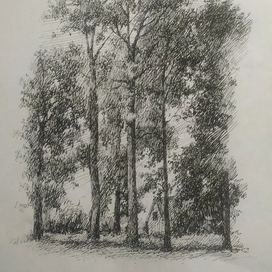 Лес