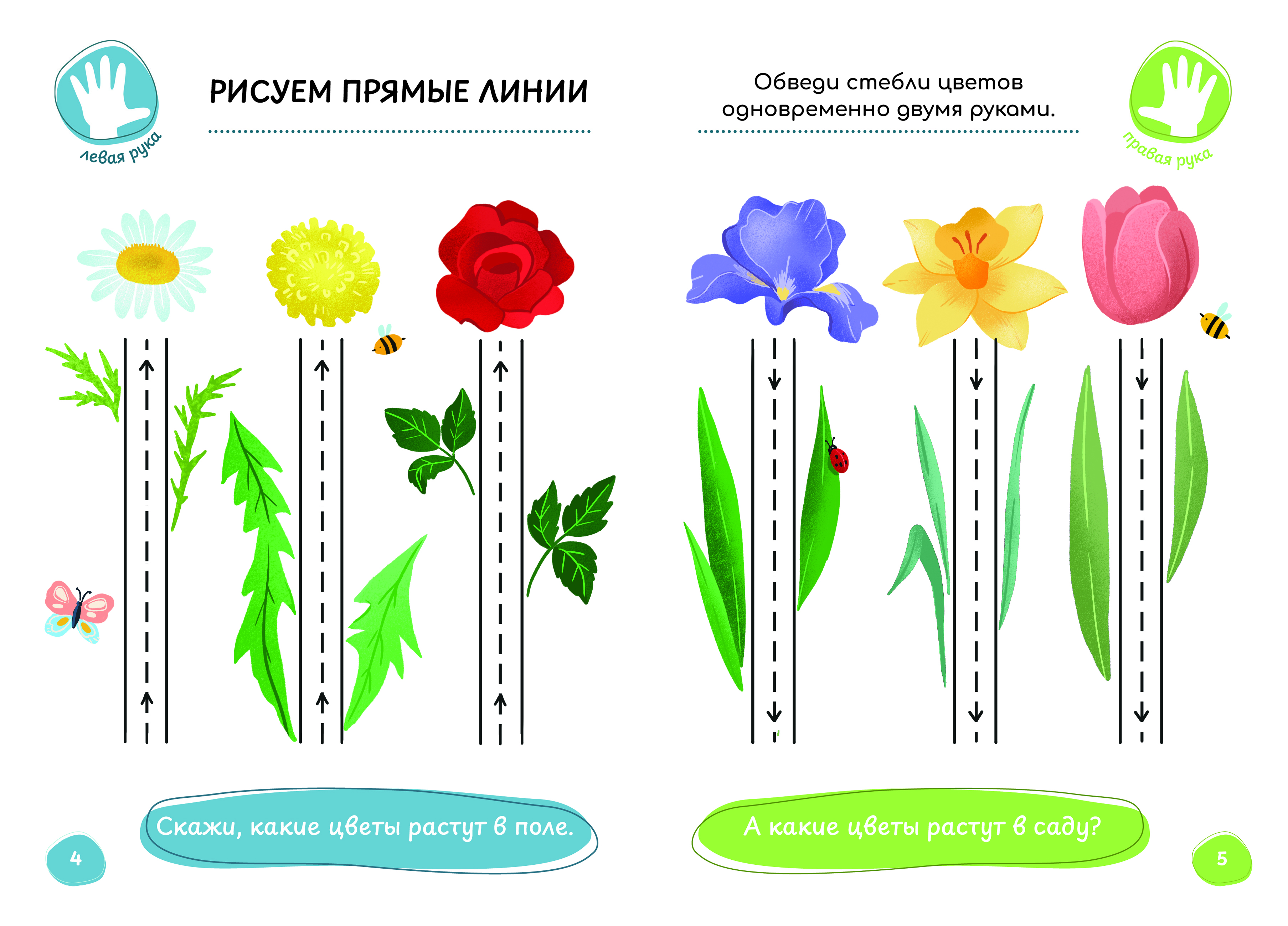 Книжка развивашка