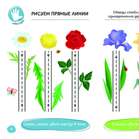 Книжка развивашка