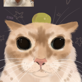 Кот с виноградиной