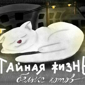 Обложка для книги
