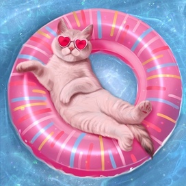 Котик