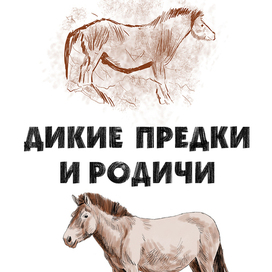 Игорь Акимушкин  "На коне через века" 