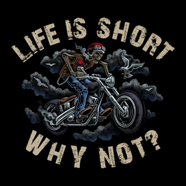 Why not? (принт на футболку)