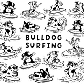 Bulldog surfing