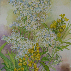 Нежное